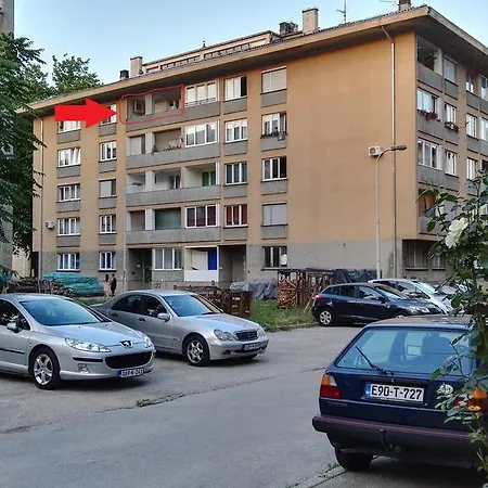 Malina Bihać